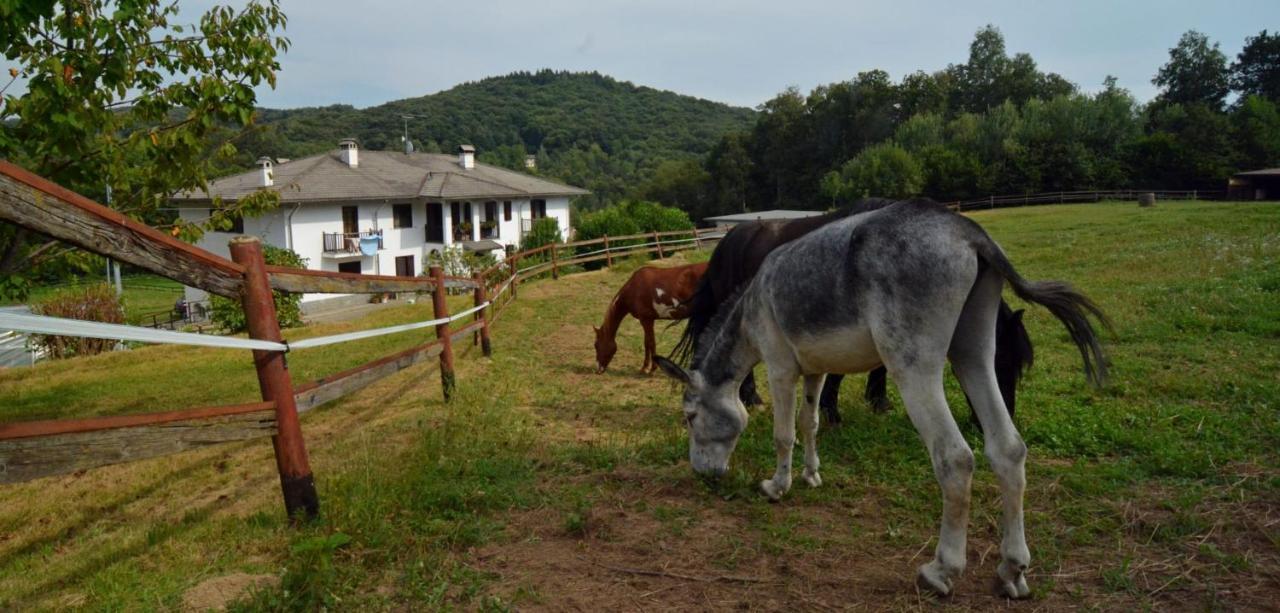 Favetto Family Ranch Bed & Breakfast Rueglio Dış mekan fotoğraf