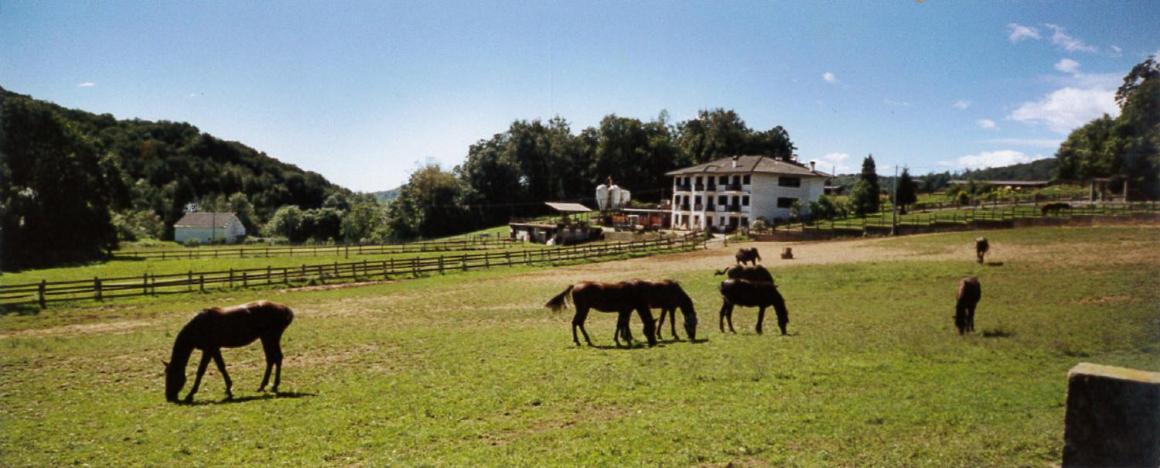 Favetto Family Ranch Bed & Breakfast Rueglio Dış mekan fotoğraf