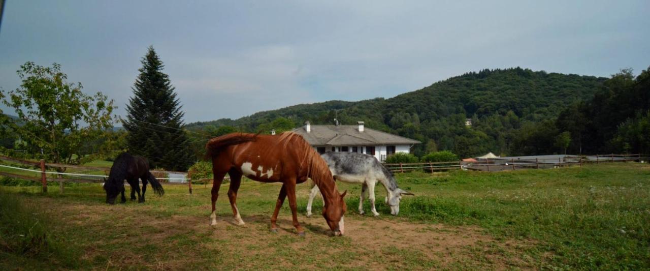 Favetto Family Ranch Bed & Breakfast Rueglio Dış mekan fotoğraf