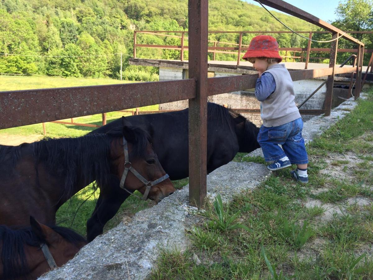 Favetto Family Ranch Bed & Breakfast Rueglio Dış mekan fotoğraf